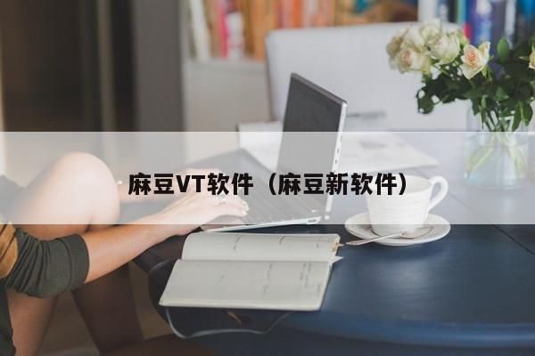 麻豆VT软件(麻豆新软件)